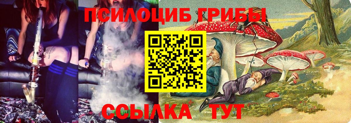 Псилоцибиновые грибы GOLDEN TEACHER Владивосток